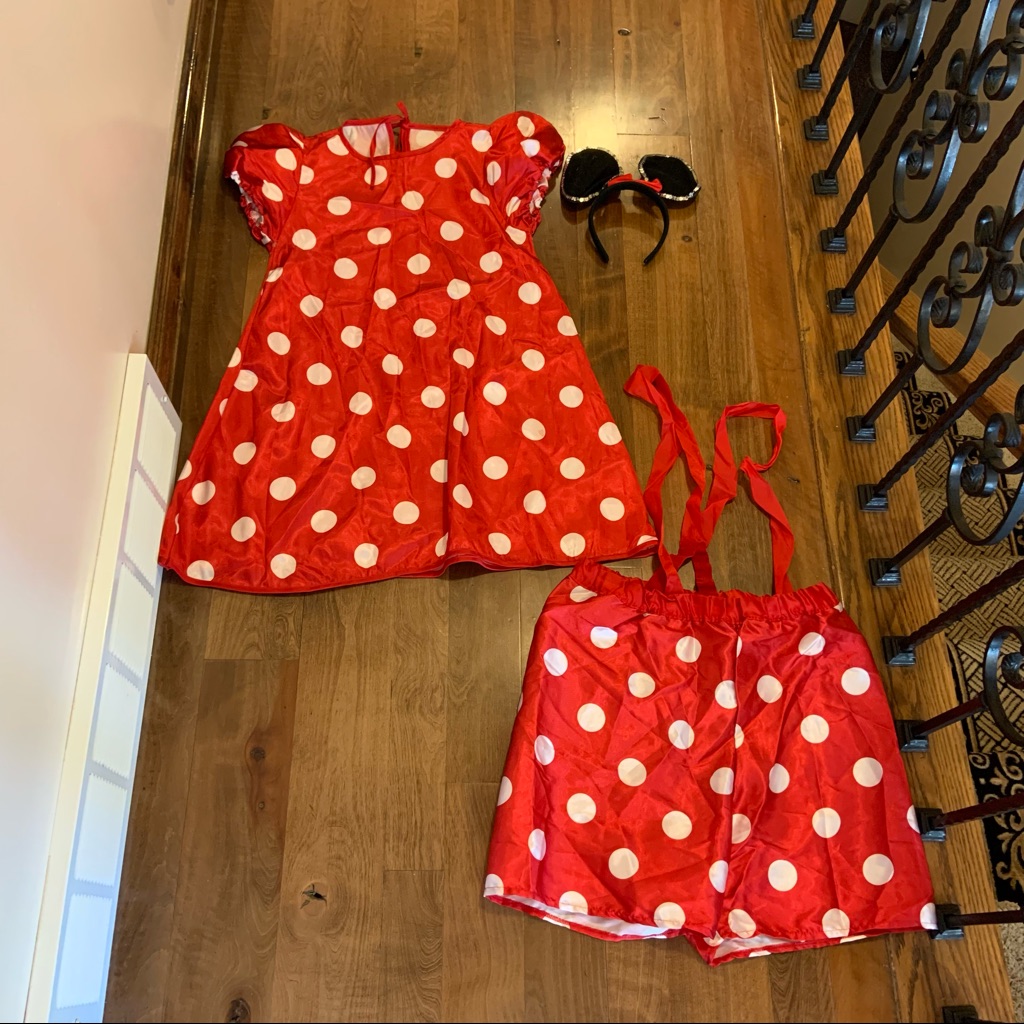 Adult Mickey  Minnie Disney Couples Costumes